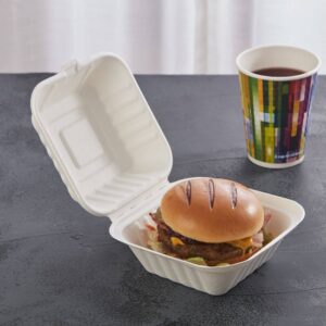 Bagasse Burger Boxes