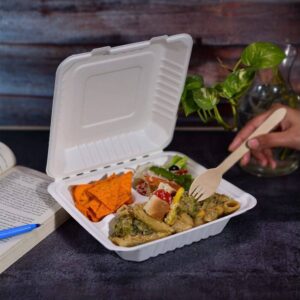 Bagasse Lunch Boxes