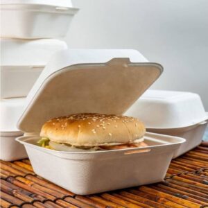 Biodegradable Food Containers